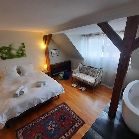 145M² City Center 4 Bedrooms View Of The Cathedral 斯特拉斯堡 外观 照片