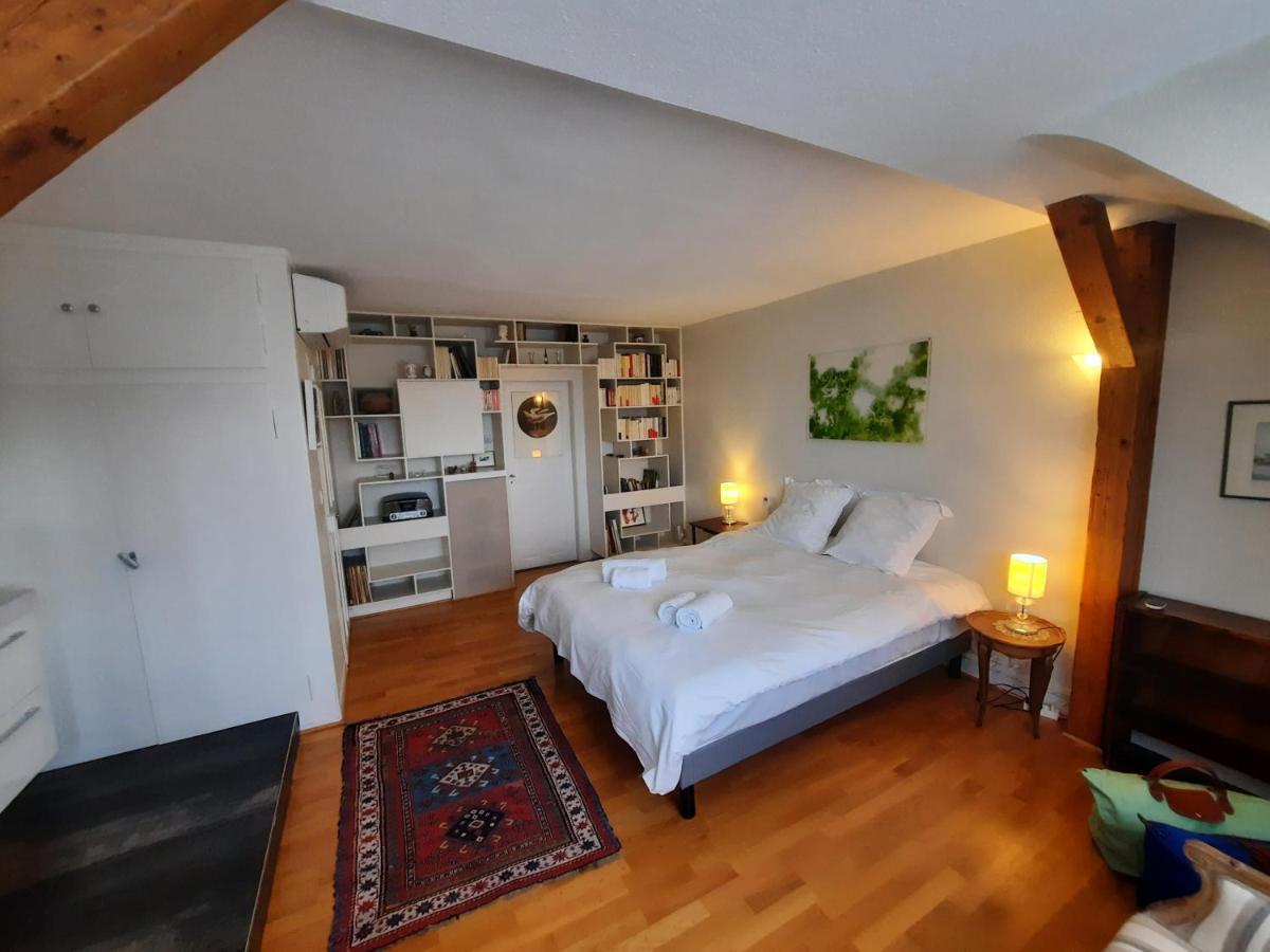 145M² City Center 4 Bedrooms View Of The Cathedral 斯特拉斯堡 外观 照片
