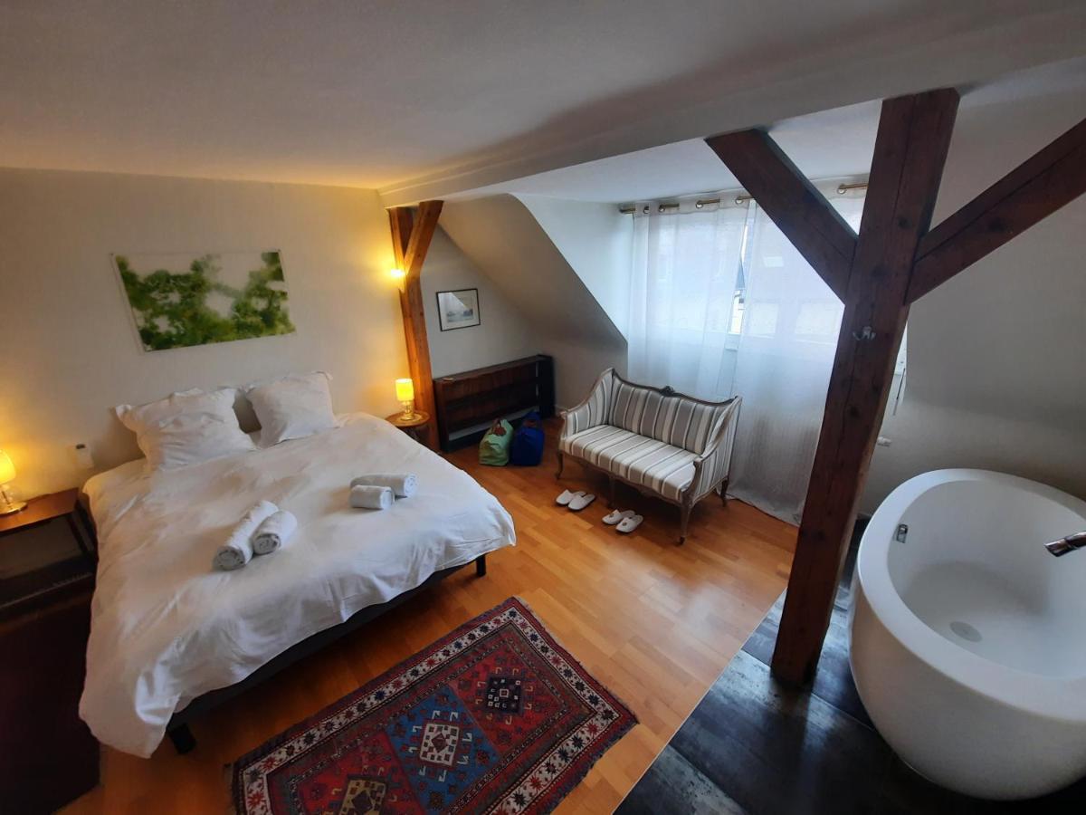 145M² City Center 4 Bedrooms View Of The Cathedral 斯特拉斯堡 外观 照片